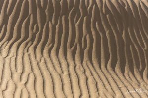 Dunas de Cuervitos, Mexicali, Baja California